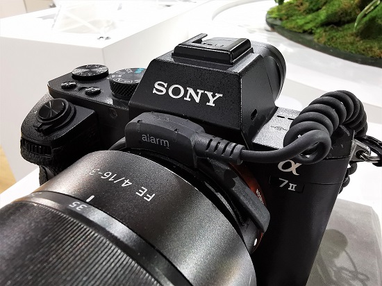 SONY α7Ⅱ対α7初代 中古』比較レビュー～おすすめです～自然撮影を