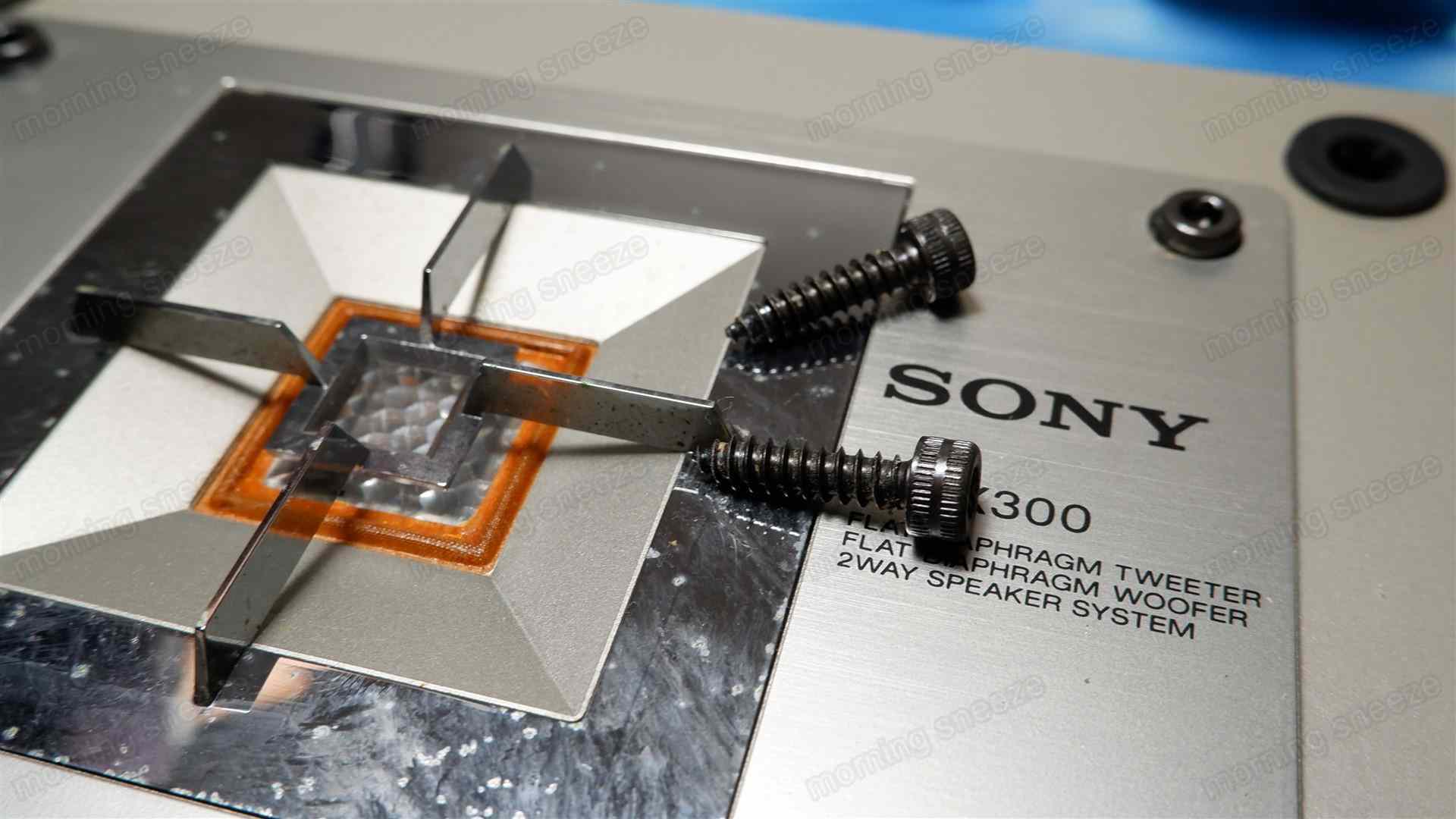 SONY SS-X300 をメンテナンスする - いつか消える文章