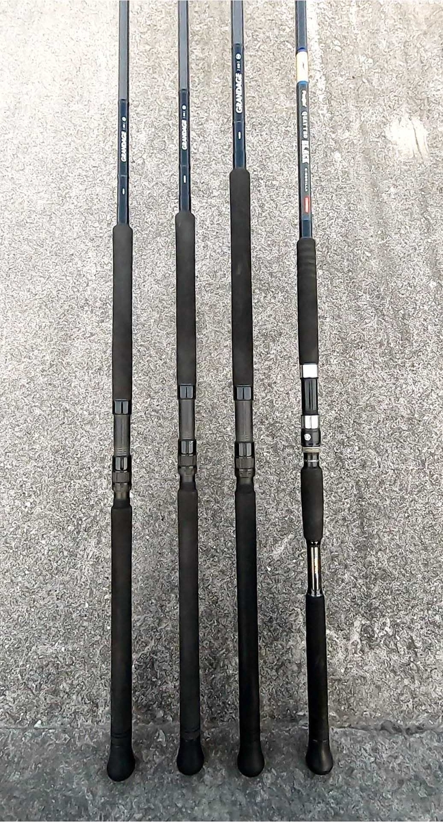 アピア グランデージXD 100M アピア グランデージ XD 100M 【公式通販】