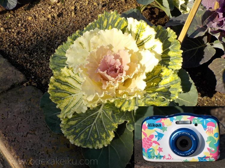 ニコン COOLPIX W100 マリン 子供も大人も楽しめるタフカメラ