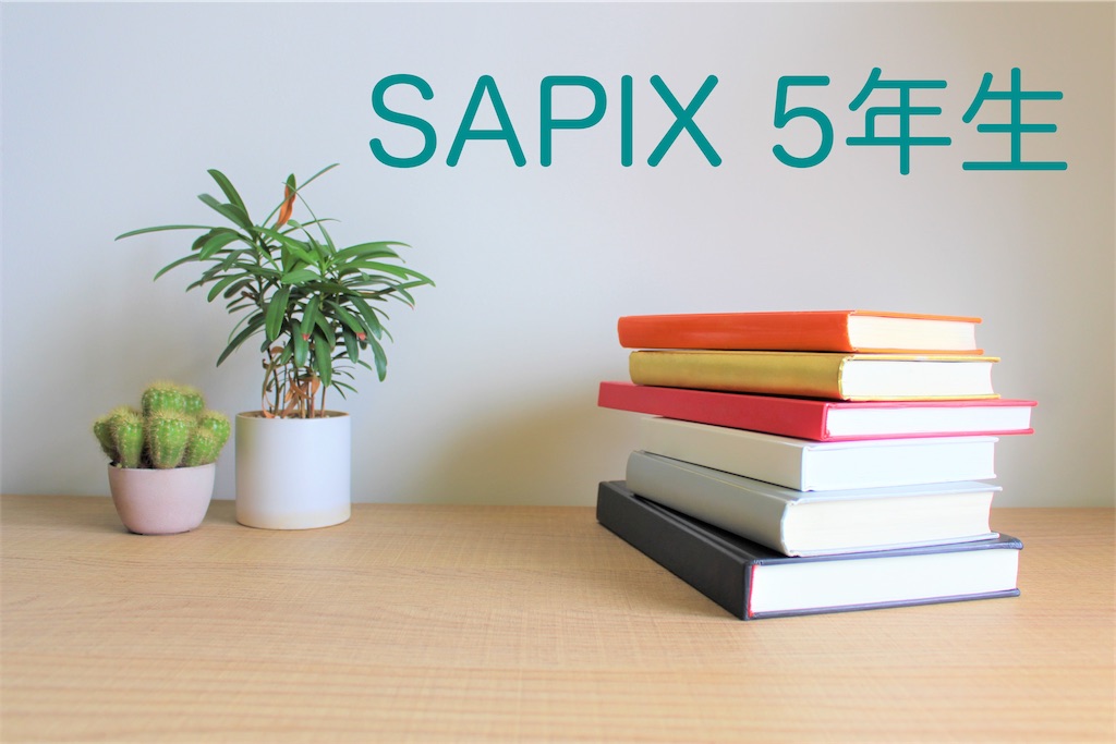 サピックス5年 春期講習 - 仕事＋子育て＋2026中学受験