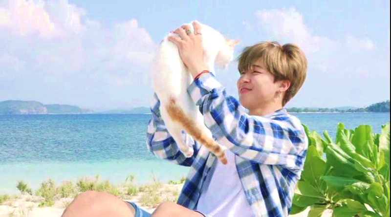 BTS 「Summer Package 2017」の好きなとこだけ♡ - HOPE WORLD