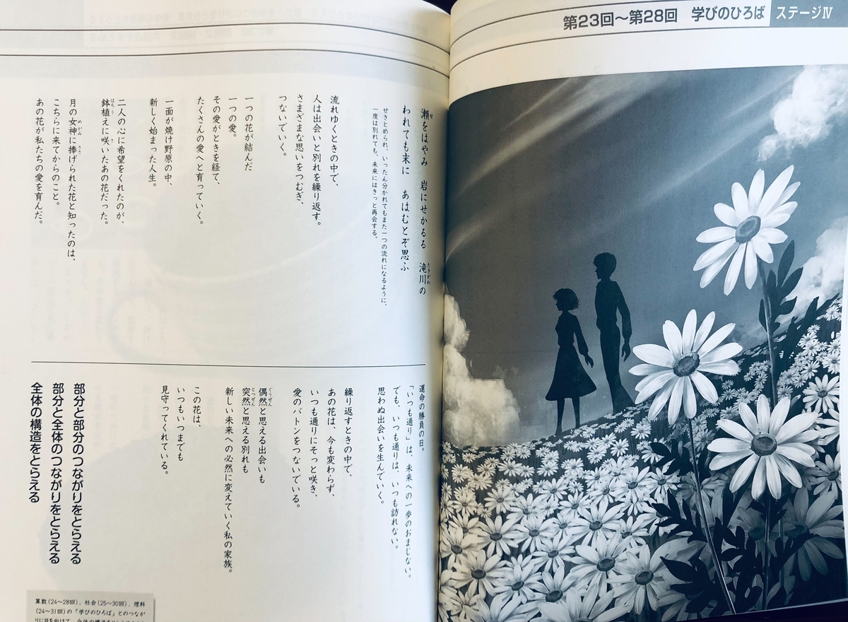 日能研】6年生前期テキストの中身と秘密 - ちゅりぷ子のもしかして中高