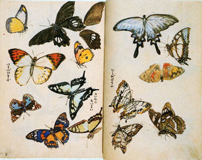 2000羽もの蝶が描かれているという藤島武二のスケッチ「蝶供養