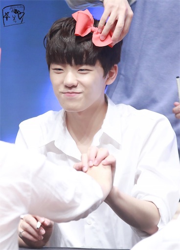 マンネちゃん ディノ！ - 🍦韓国をアイスの実🍦