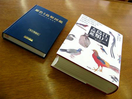 原色日本鳥類図鑑』と『江戸鳥類大図鑑』の差異 - 記憶の彼方へ