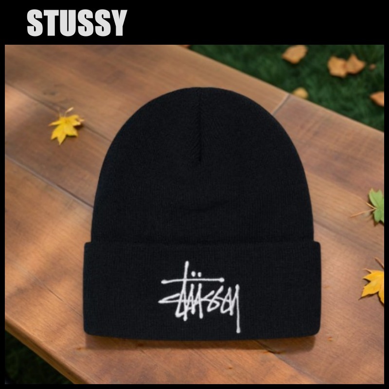 Stussy Big Basic Thinsulate Beanie ステューシー ビーニー (STUSSY