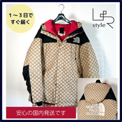 関税込 国内即発【GUCCI】グッチノースフェイス コラボ ダウン (GUCCI