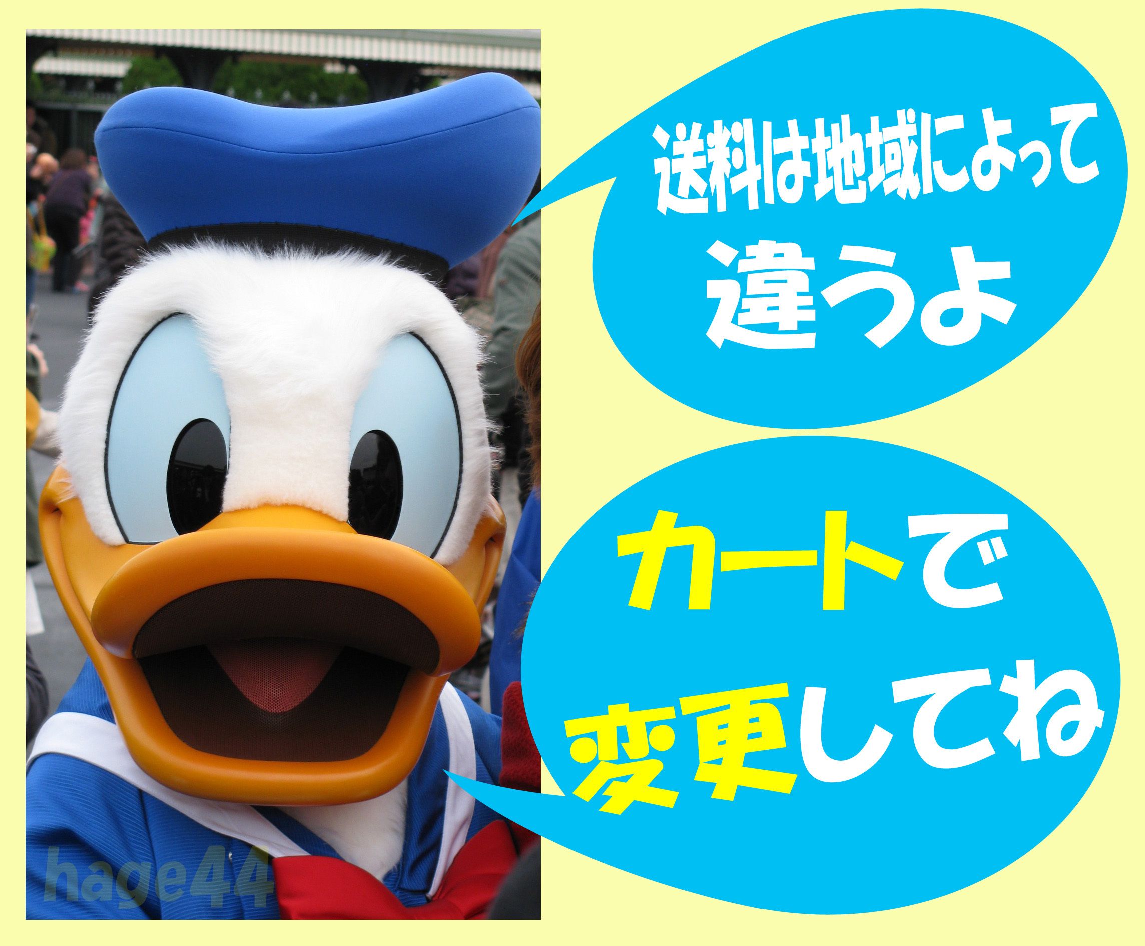 ドナルド ふわもこパスケース 東京ディズニーリゾート (Disney/パス