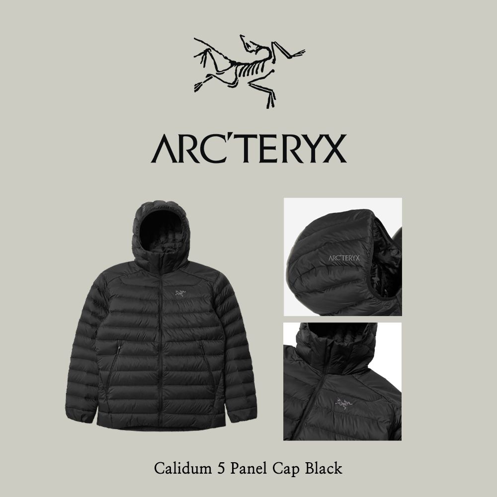 Arc'teryx】 Cerium Hoody Black (ARC'TERYX/ダウンジャケット) 7313