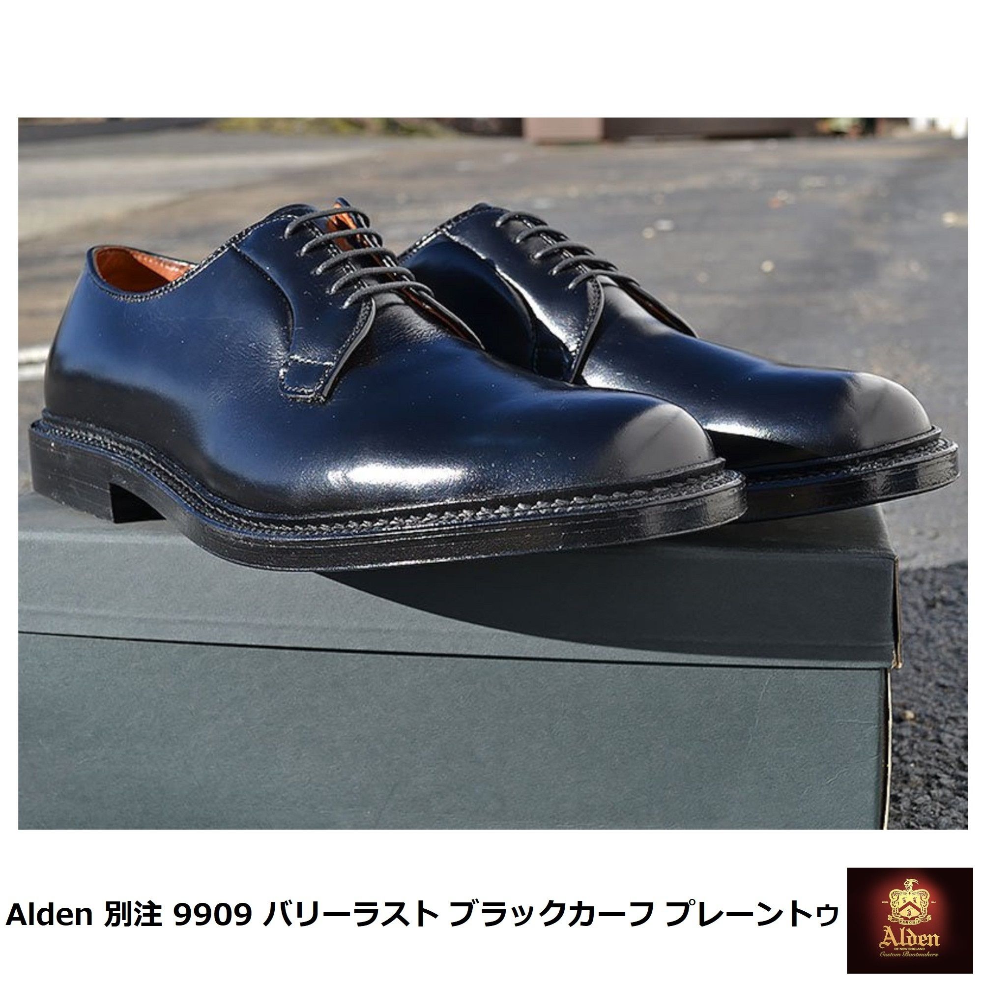 Alden] 別注 9909 バリーラスト ブラックカーフ プレーントゥ (ALDEN