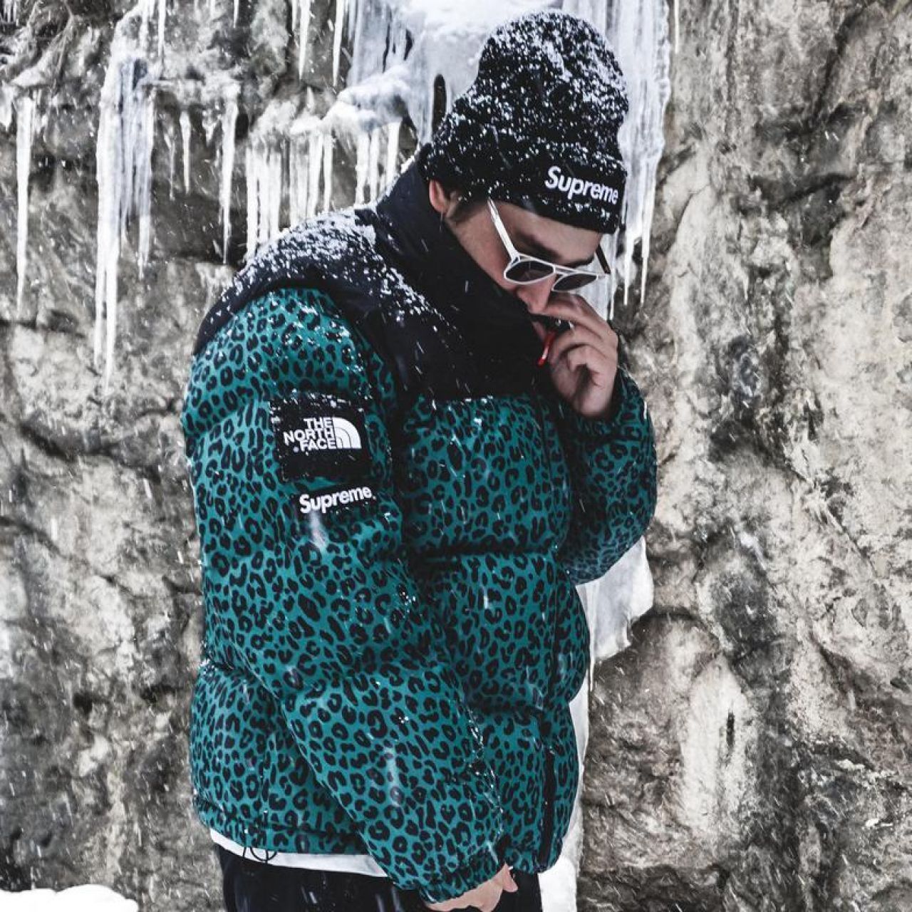 Supreme The North Face Leopard Nuptse シュプリーム ヌプシ (Supreme