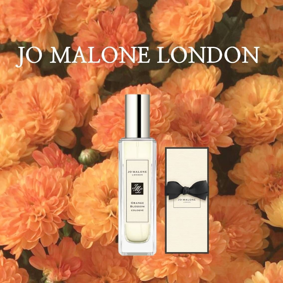 □JO MALONE □オレンジ ブロッサム コロン 30ml (Jo Malone/香水