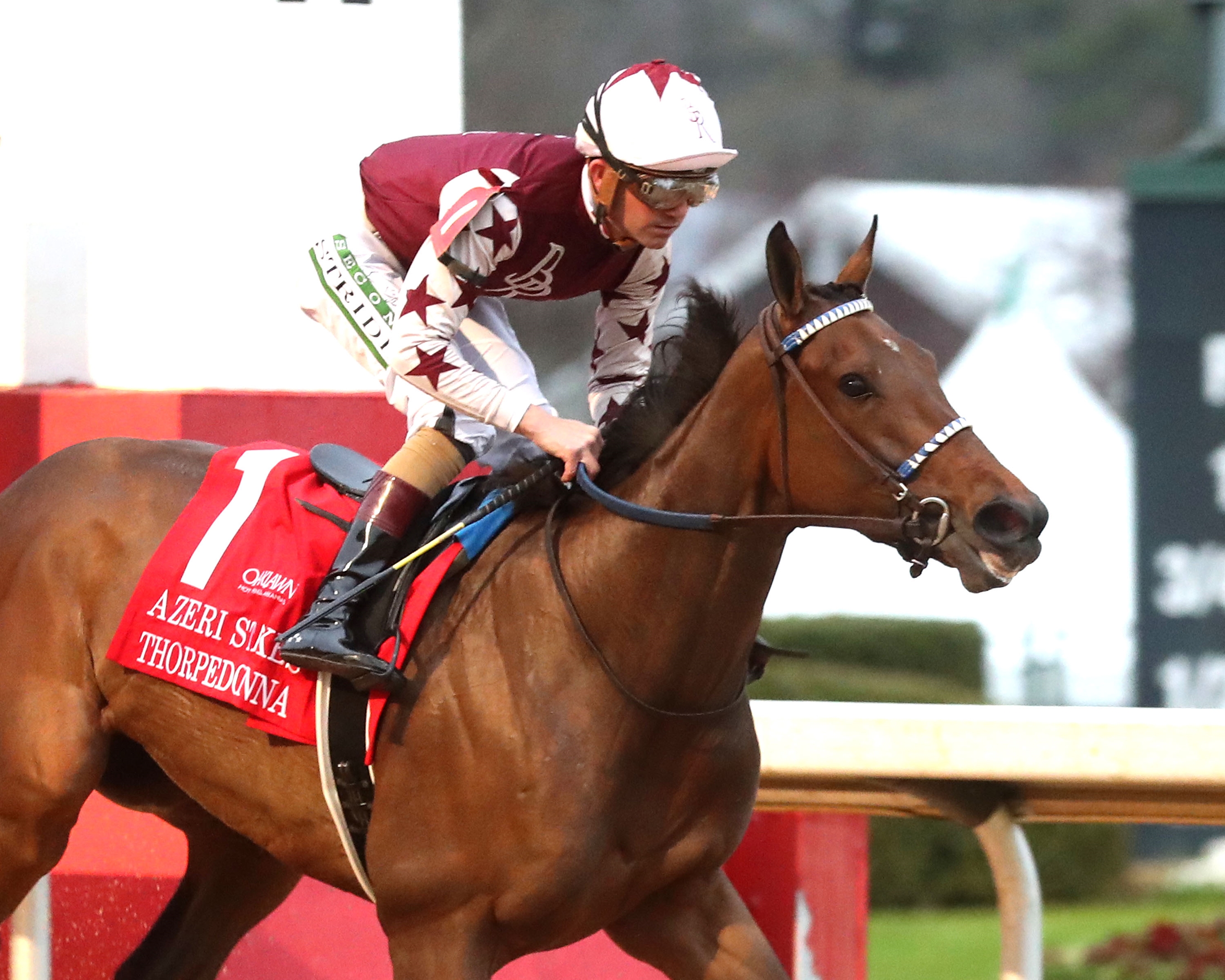 Thorpedo Anna Dazzles in Azeri Return - BloodHorse