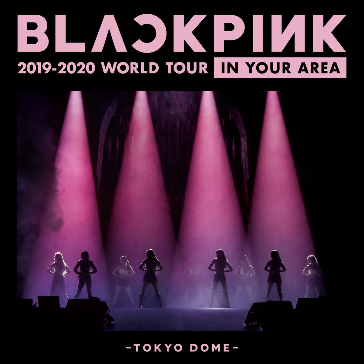 BLACKPINK 2019-2020 WORLD TOUR パーカー サイズL s-l400.jpg