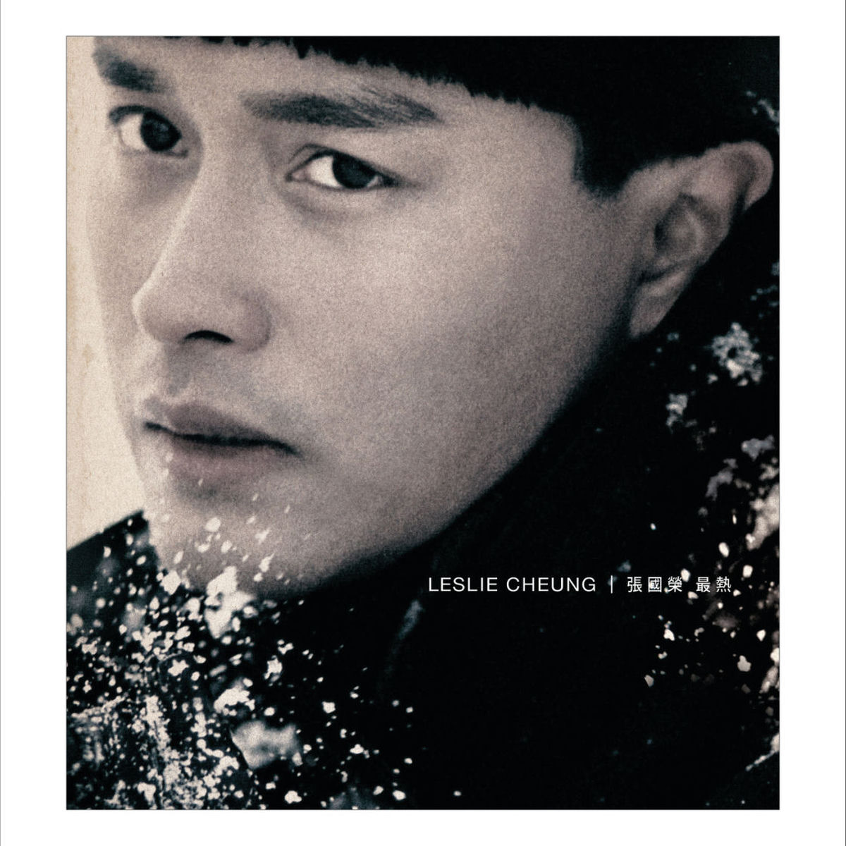 張國榮: albums, songs, concerts | Deezer