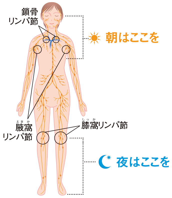 朝と夜の3分セルフケア「反射区もみ」と「リンパ流し」 （2ページ目