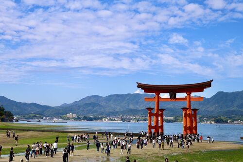 2024年秋 うさぎの島「大久野島」と、世界遺産「厳島」に宿泊する3日間