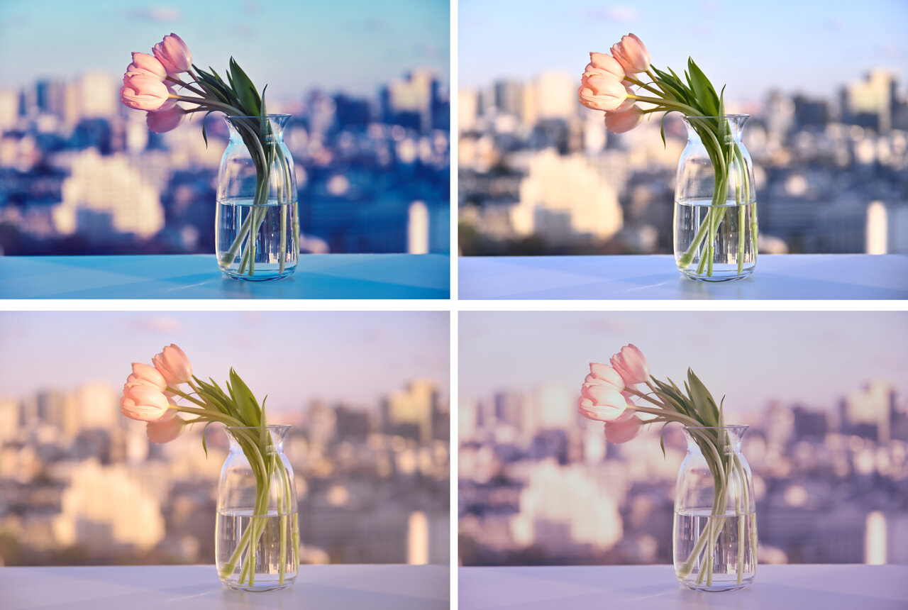 Nikon Zシリーズではじめる美しい動画制作＜基本のキ＞ | GENIC編集部