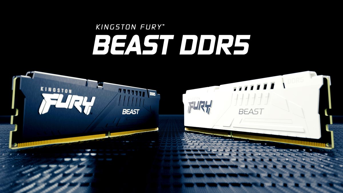 Kingston Technology FURY Beast DDR5 5600MHz 32G (2x16GB) Dual