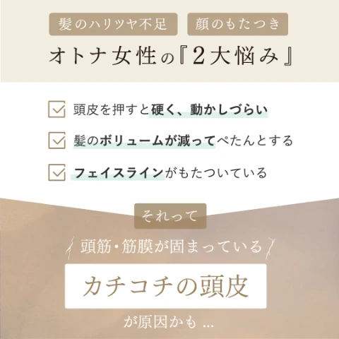 アンファースカルプD公式通販 | 予防医学のアンファーストア