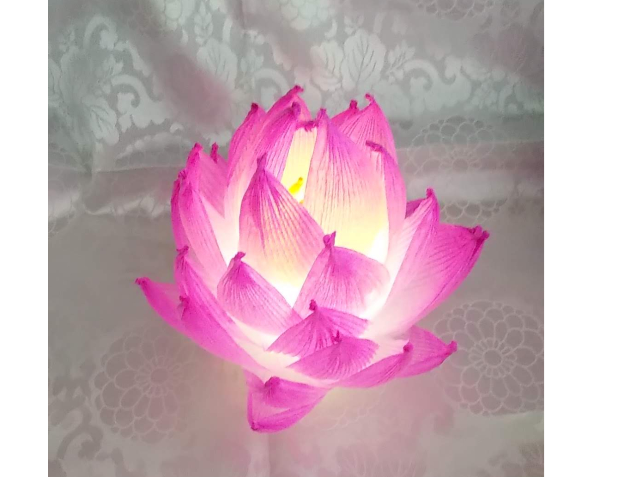 3/29【蓮紙ランプ制作体験＊50分間＊】光明寺《カップル、ファミリー