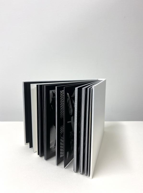 DAIDO SLIDE（左） - 森山大道 | AKIO NAGASAWA