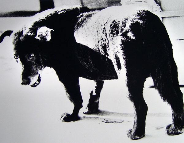 森山大道 - アーティスト | AKIO NAGASAWA