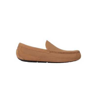 Slippers UGG ASCOT (CHESTNUT) - Men - Alpinstore