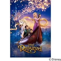 テンヨー ディズニー ジグソーパズル 500ピース 美しく咲き誇る乙女