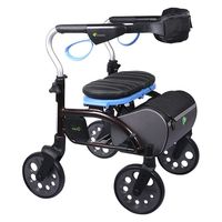 アビリティーズ・ケアネット ナイスウォーカー 4輪 8690-01 1台 【歩行