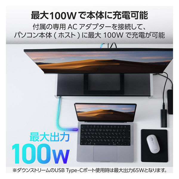 モニタースタンド型 ドッキングステーション 12in1 DST-W08 エレコム 1