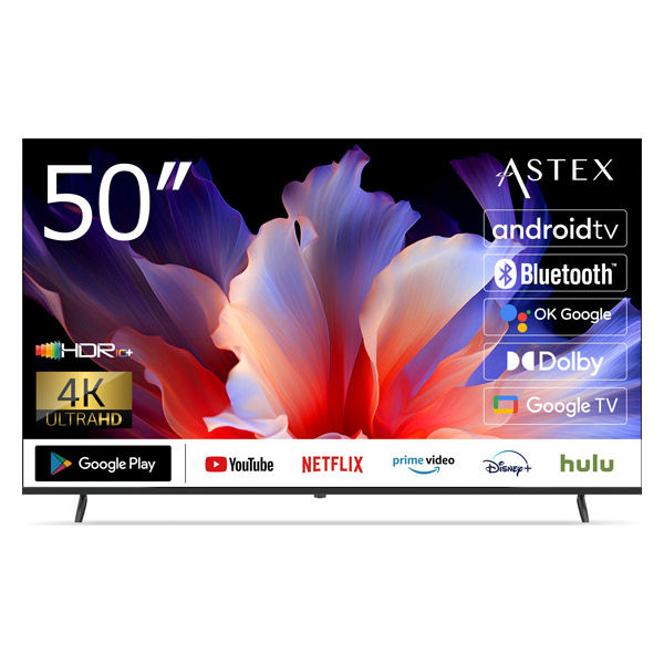 WIS 50型 4KチューナーレスGoogleTV 50GTN 1台（直送品） - アスクル