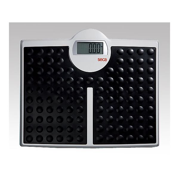 seca デジタルフラットスケール seca813 1台 8-1961-01（直送品