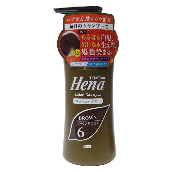 テンスター カラーシャンプー ダークブラウン ポンプ 300ml 三宝