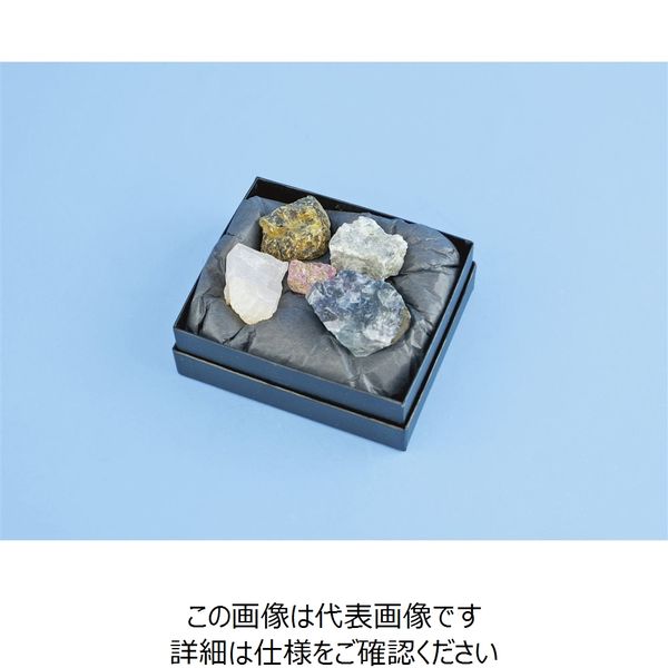 ナリカ 蛍光鉱物セット「光る石の不思議な世界」 L55-3179 1セット(5
