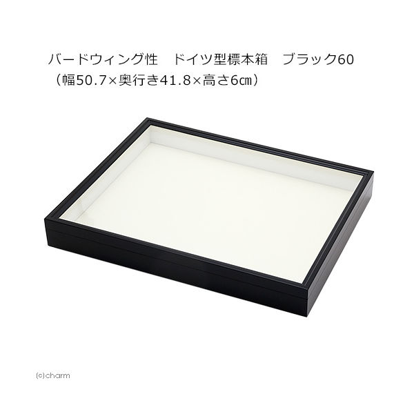 バードウィング バードウィング製 ドイツ型標本箱 ブラック60