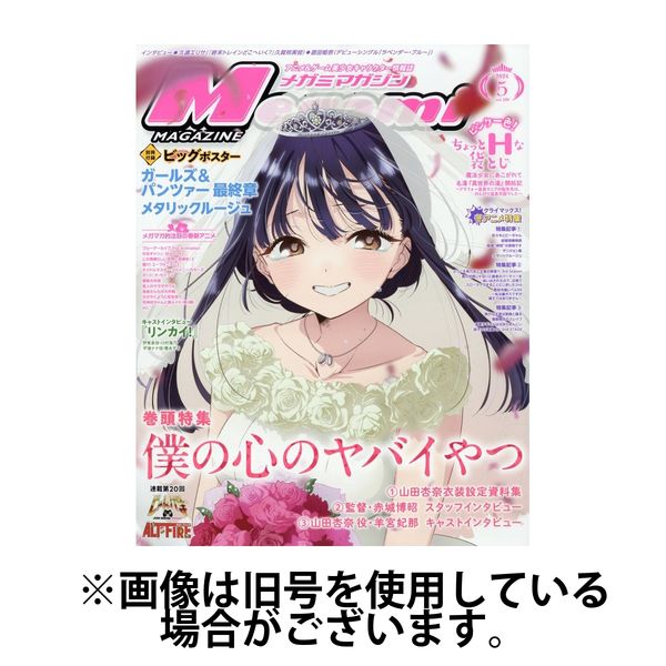 Megami Magazine(メガミマガジン） 2024/07/30発売号から1年(12冊
