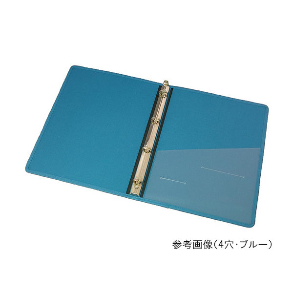 サンリーフ カルテブック(スタンダードタイプ) B5 26穴 グリーン 8冊入