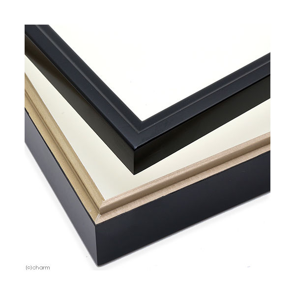 バードウィング バードウィング製 ドイツ型標本箱 ブラック60