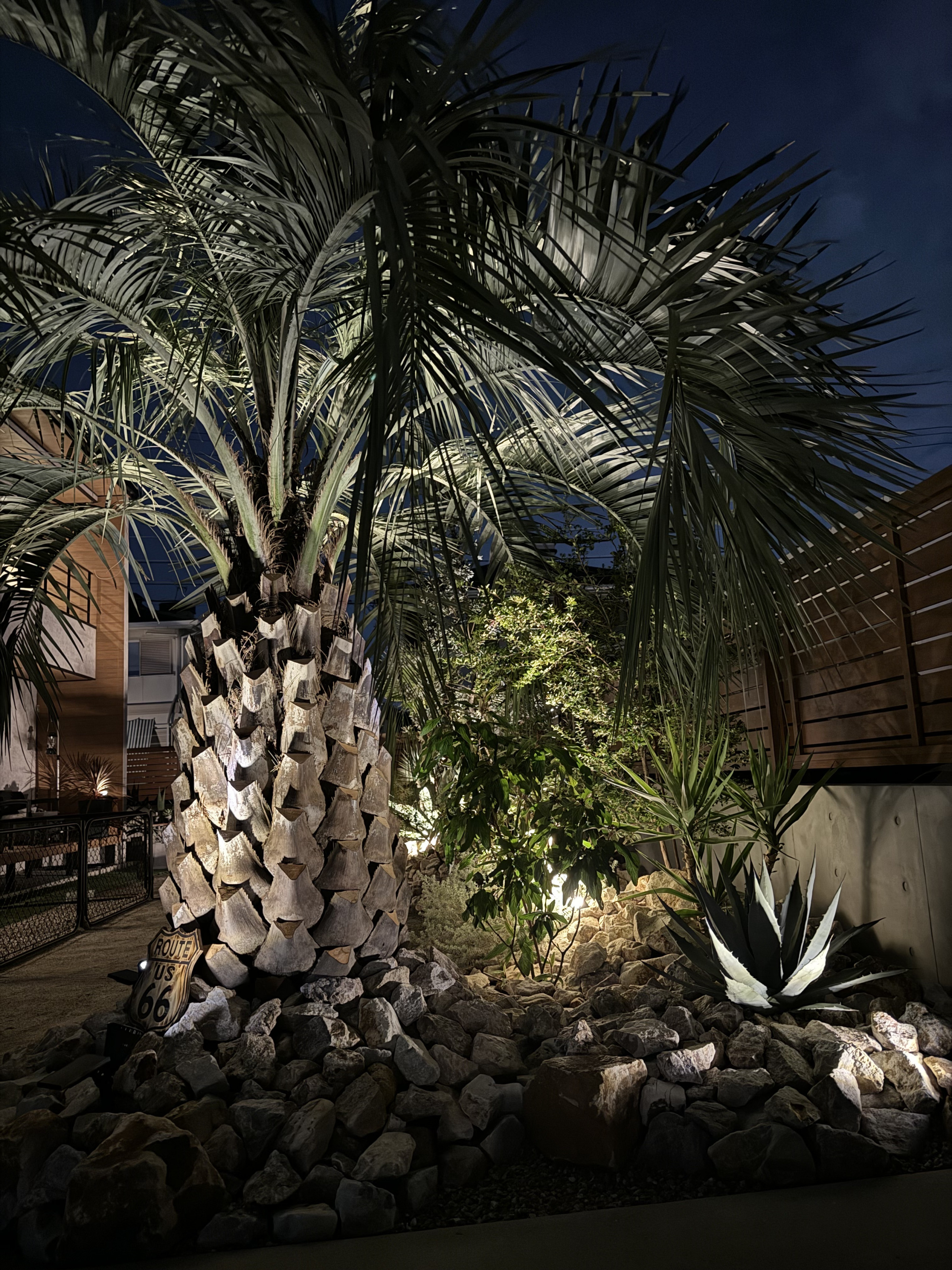 ココスヤシ専門販売店 DRYGARDEN Nico 福岡県久留米市田主丸町豊城1398-5