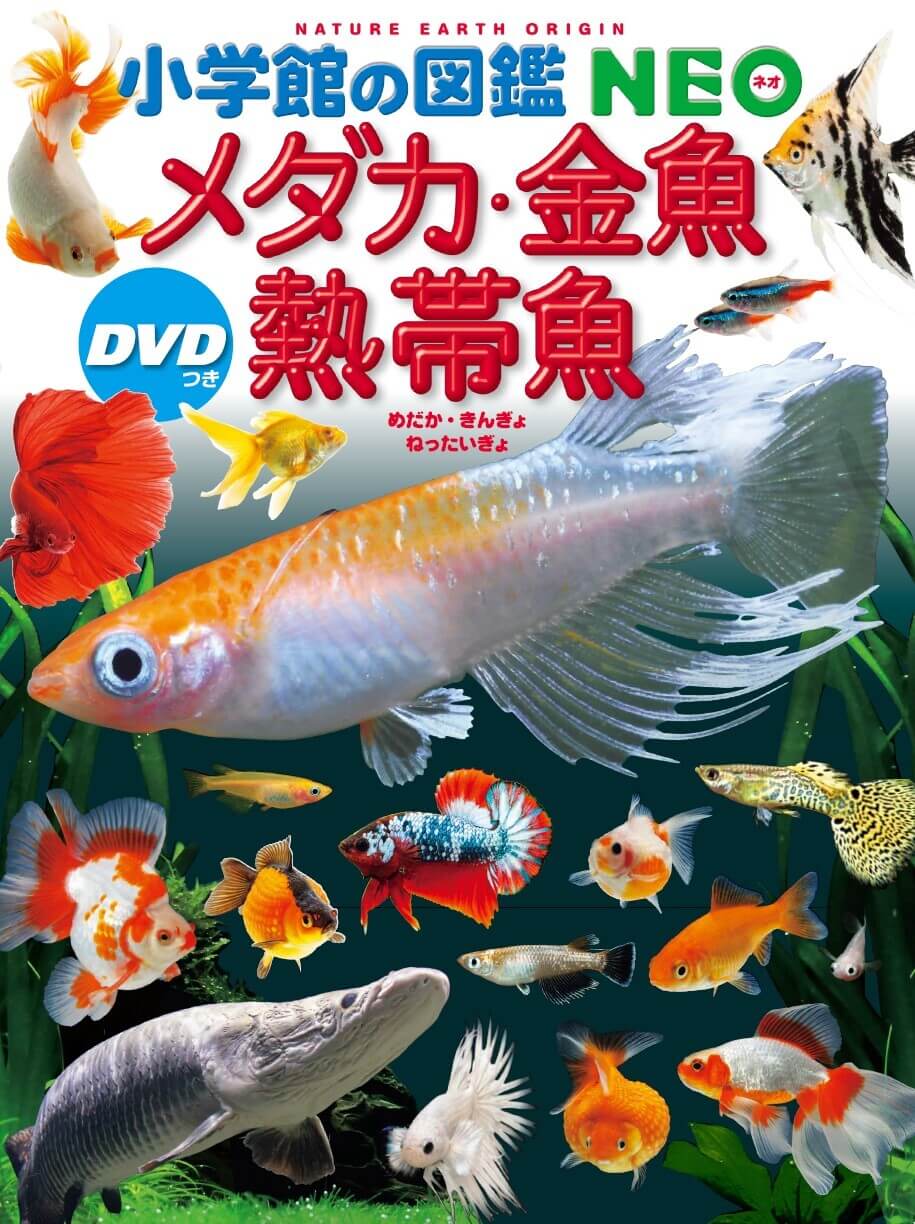 ringo 小学館NEO・こども百科・学研図鑑・NEO＋ 他27冊セット ringo