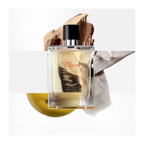 Hermès Terre D'Hermès Eau de Toilette | Deloox.com