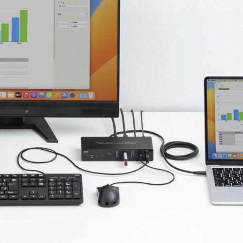 パソコン切替器（Type-C接続・HDMI・エミュレーション非搭載） SW