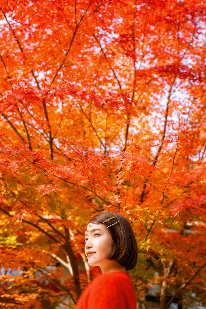 色彩の京都 絶景と味めぐり」 [生活・実用書] - KADOKAWA