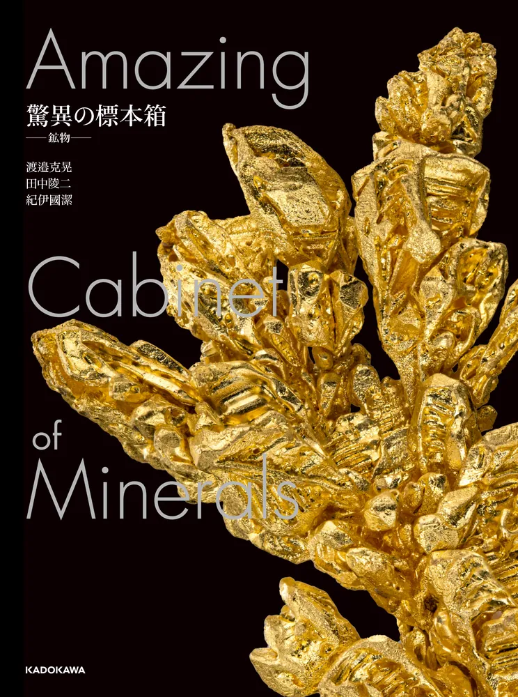 驚異の標本箱 ‐鉱物‐」渡邉克晃 [ノンフィクション] - KADOKAWA