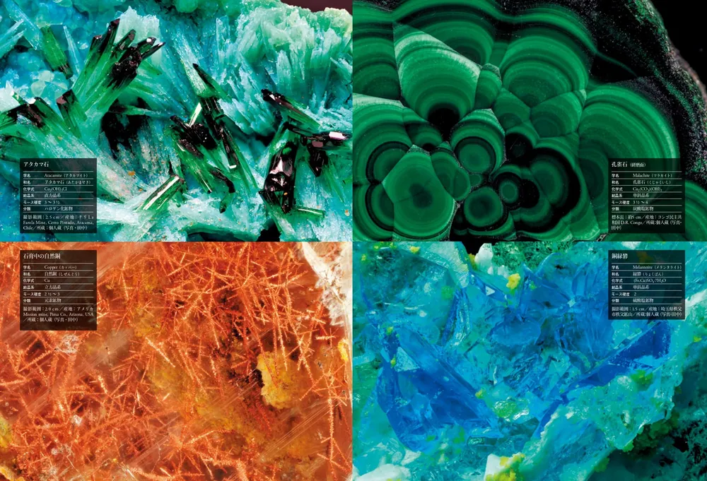 驚異の標本箱 ‐鉱物‐」渡邉克晃 [ノンフィクション] - KADOKAWA