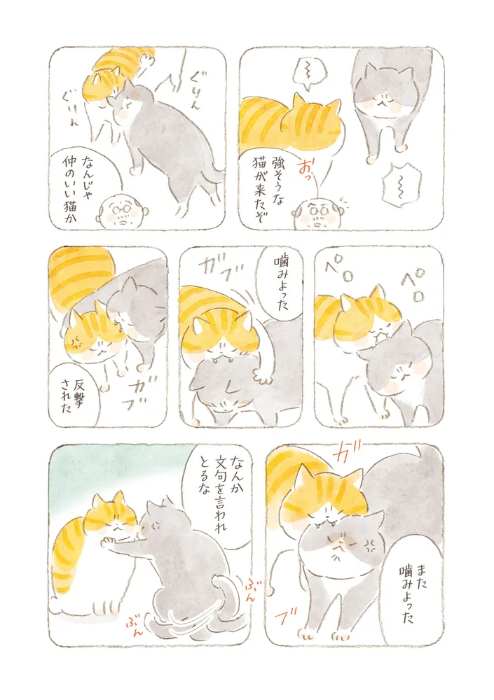 ねことじいちゃん（11）」ねこまき(ミューズワーク) [コミック