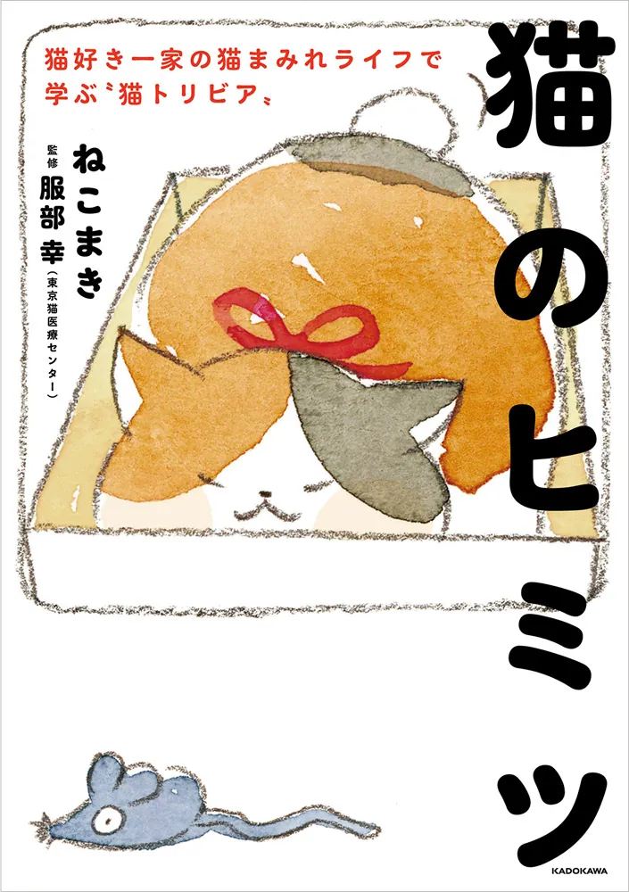 猫のヒミツ 猫好き一家の猫まみれライフで学ぶ“猫トリビア”」ねこまき