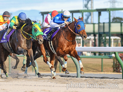 レモンポップ(2018) - Lemon Pop | 近況履歴 | 競馬ブック